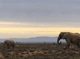 Cape Town Safari Transfers 