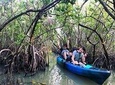 Thousand Islands Mangrove Tunnel Sunset Kayak Tour with Cocoa Kayaking!