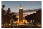 Full-Day Marrakech Highlights Tour & Lunch: Experience The Best Attractions