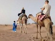 Private - Camel Trekking in Dubai with Morning Dune Bashing and Sand Boarding