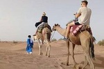 Private - Camel Trekking in Dubai with Morning Dune Bashing and Sand Boarding