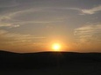 half day camel safari (non touristic sand dune) 