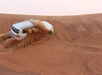 Evening Desert Safari