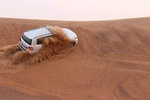 Evening Desert Safari