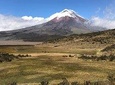 Private Tour Cotopaxi