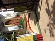 Nine Mile Bob Marley museum Tour