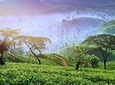 3 Days Tour of Ella, Nuwara Eliya and Haputale 