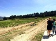 Bandol, Le Castellet and Sanary sur Mer Tour