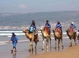 Agadir Camel Tour Ride 02 Hours