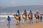 Agadir Camel Tour Ride 02 Hours