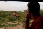 Evening Private Safari at Bundala Park by La Safari Inn Tours 