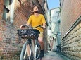 4-Hour Morning Cycling Tour in Taipei 
