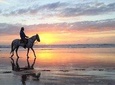 Horse riding at sunset for 2 hours