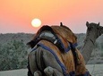 6 Days Golden Triangle with Jaisalmer Desert Safari Private Tour 