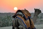6 Days Golden Triangle with Jaisalmer Desert Safari Private Tour 