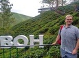 Amazing Cameron Highland Day Tour From Kuala Lumpur 