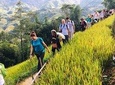 Sapa 2 Days 2 Nights Trekking Tour - Overnight in Bus and Bungalow or Homestay