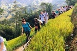 Sapa 2 Days 2 Nights Trekking Tour - Overnight in Bus and Bungalow or Homestay