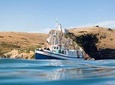 Monarch Wildlife Cruise