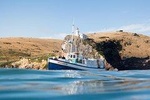 Monarch Wildlife Cruise