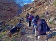Discover the True Atlas mountains Berber Villages & Camel Ride Day Trip