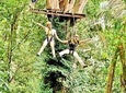 Phuket ATV Bike 2 hours with Zipline Adventure 35 Platforms with meal