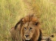 3 days Queen Elizabeth National park tour