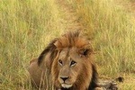 3 days Queen Elizabeth National park tour