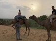 Camel Safari Day Trip From Jodhpur