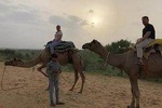 Camel Safari Day Trip From Jodhpur
