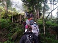 Walk to the La Chorrera waterfall, seasonal tour, Bogotá.