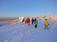 Jewels Of Lapland: Visit to Amethyst Mine in Luosto