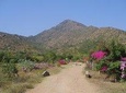 Tiru Arunachala Tours - Tiruvannamalai Tour Guide