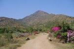 Tiru Arunachala Tours - Tiruvannamalai Tour Guide