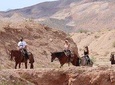 Sunset Horseback Riding Tour with BBQ Dinner