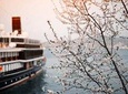 Private Transfer: Vienna to River Cruise Dock Nuremberg - Port/Harbor transport