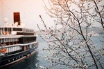 Private Transfer: Vienna to River Cruise Dock Nuremberg - Port/Harbor transport