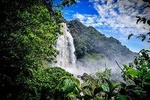 Highest Zipline Of Colombia, Climb Via Ferrata Trail & Trek to Waterfall!