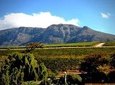 Cape Winelands Day Tour