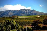 Cape Winelands Day Tour