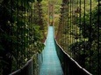 Combo: Day Trip to Hanging Bridges + ZipLine in Monteverde