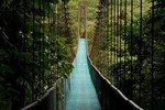 Combo: Day Trip to Hanging Bridges + ZipLine in Monteverde