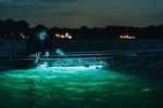 Clear Kayak Glow in the Dark Tour Through Winter Park 