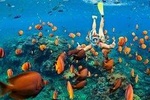 Gili Kondo Snorkeling Tour