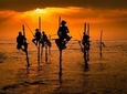 Day Excursion to Benthota and Galle from Colombo/Negombo/Airport (Coast Road)