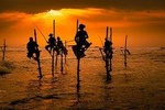 Day Excursion to Benthota and Galle from Colombo/Negombo/Airport (Coast Road)