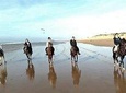 Horse riding on the beach of Essaouira 3 hours
