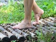 Park Therapy and Barefooting 