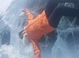 Yellowknife Bucket List City Tours 