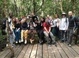 Jozan forest tour